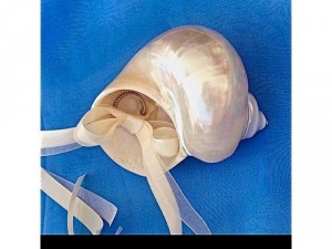 Ốc mài xà cừ