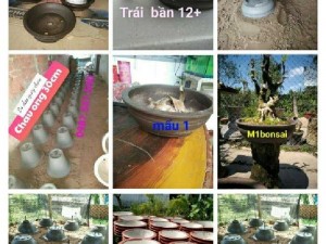 Bán Dung cụ quay chậu các loại