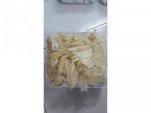 Yến Sào Cao Cấp - Nha Trang Khánh Hoà