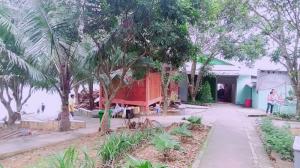 Nhà Sàn Đảo Dừa Thung Nai