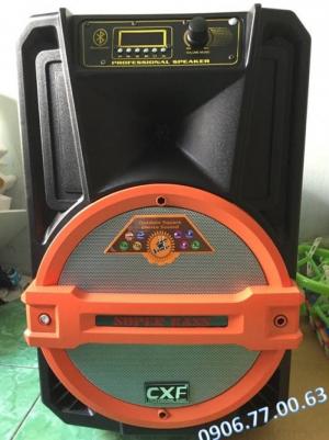 Loa Bluetooth Karaoke di động CXF ( tặng 2 micro ko dây )`
