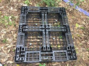 Pallet nhựa KT 1200x1000x120mm