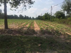 Bán đất vị trí đẹp giá cực rẻ, cực mềm có 1 không 2