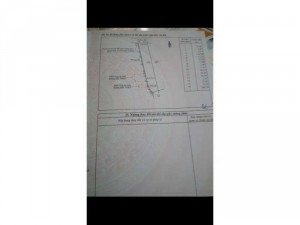 1 mẫu đất đang làm trang trại gà, kẹt tiền nên bán gấp 3 tỷ gặp chủ thương lượng, đường xe tải đy vj vu