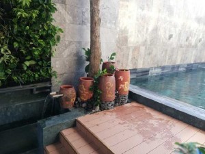 Thiết kế, thi công hệ thống lọc cá Koi