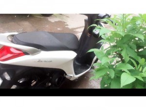 Xe yamaha janus xe như hình