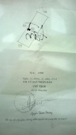 đất cây lâu năm