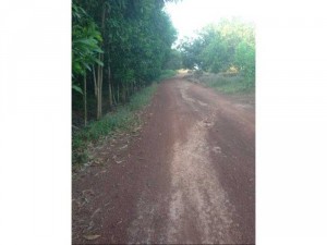 Em có 1,8 mẫu xã trị an, 2 đường vào ,đất sát bờ sông,trên đất đang trồng bưởi.... đã rào xung qah