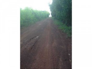 Em có 1,8 mẫu xã trị an, 2 đường vào ,đất sát bờ sông,trên đất đang trồng bưởi.... đã rào xung qah