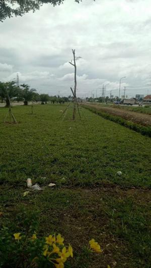 Cần tiền bán gấp đất nền đối diện khu công nghiệp kinh doanh ngay