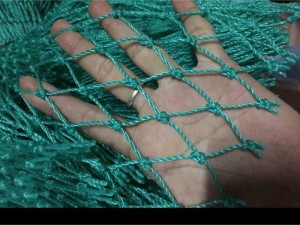 Lưới cước cào 5 phân, lưới nuôi ốc hương, cá bớp, tôm hùm