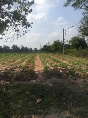 Bán đất vị trí đẹp giá cực rẻ, cực mềm có 1 không có 2