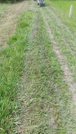 Bán đất ở Hòa khánh Đông Huyện Đức Hòa Tỉnh Long an
