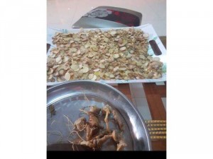 Sâm Ngọc Linh ngâm Mật Ngọc linh