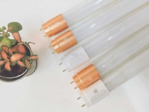Bóng Tuýp Led T8 22W