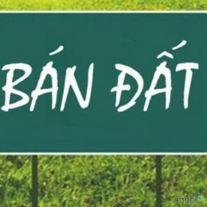 Bán đất nền khu vực Trâu Quỳ 90m2, mặt tiền rộng, thoáng mát, ngõ oto vào.