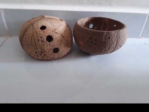 Chậu trồng lan bằng quả dừa, có lỗ treo dây, bền, chắc, tự nhiên, thân thiện môi trường