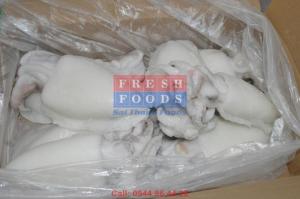 Tìm đại lí phân phối mực nang đông lạnh chất lượng cam kết ko hóa chất