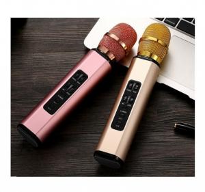 Micro kèm loa karaoke bluetooth Nhập khẩu cao cấp PKCB BM06 có khe cắm thẻ nhớ 3 trong 1