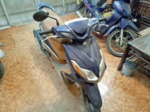 Yamaha luvias