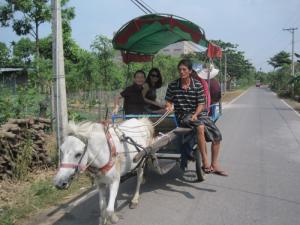 Tour Tiền Giang - Bến Tre ( 1 ngày)