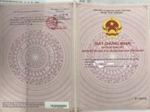 Bán Nhà hẻm xe hơi và Đất Chính chủ giá rẻ tại Quận 12 và Hóc Môn