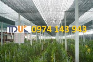 Lưới che nắng Thái Lan