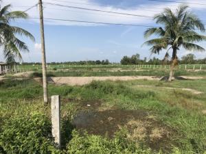 Chị gái Tây Bắc cần ra đi nền đất