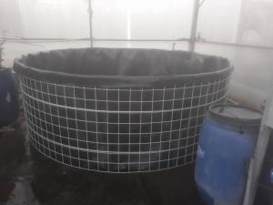 Cung cấp bể bạt di động nuôi cá cảnh