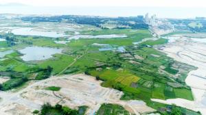 Đáo hạn ngân hàng cần bán gấp Lô đất sát bên khu Đô thị FPT City