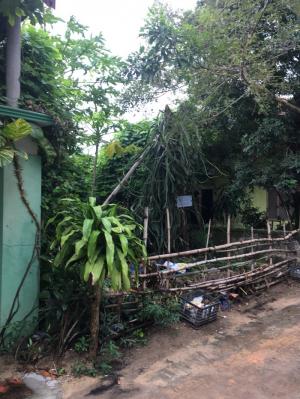 Bán lô đất Nam Lý giá cực rẻ gần Tân Trường Xanh - Đồng Hới - Quảng Bình