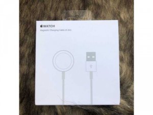Magnetic Charging ( Cable 0,3m )
