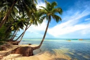 Đất nền gần chợ Nguyễn Trung Trực nền SHR Sang tên ngay