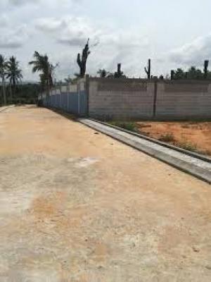 Thị trường bất động sản đã dần trở về giá trị thực, cơ hội cho nhà đầu tư