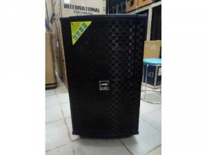 Loa kéo Bose 506.
