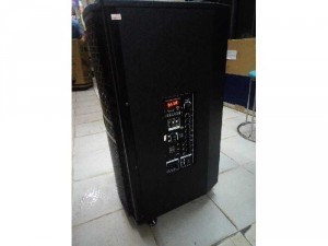 Loa kéo Bose 506.