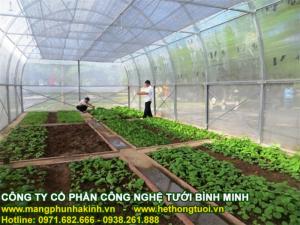 Màng kính israel nhập khẩu