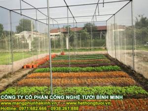 Màng kính israel nhập khẩu