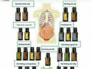 Tinh Dầu Trị Liệu Doterra Mỹ