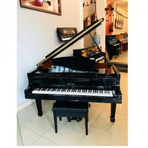 Piano Grand Horugel. BH 7 năm