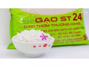 Gạo Thơm ST24
