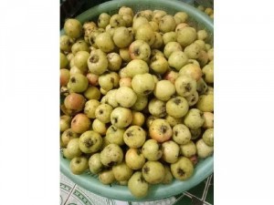 Táo mèo khô lai châu