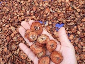 Táo mèo rừng lai châu