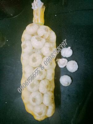 Tỏi đặc sản Phan Rang vùng nắng và gió