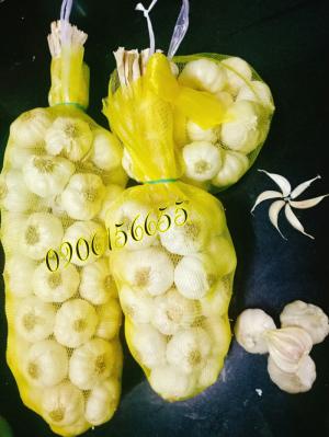 Tỏi đặc sản Phan Rang vùng nắng và gió