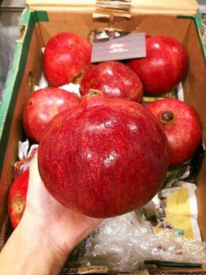 Cây lựu Ấn Độ dễ trồng tai nhà