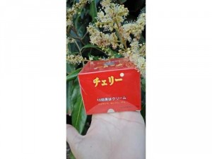 kem dưỡng trắng da HOA ANH ĐÀO nhật bản