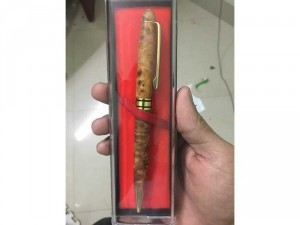 Bút huyết long ( vip)
