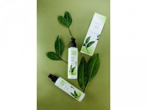 Serum Body