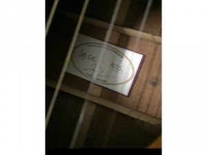 Guitar sao mai sao